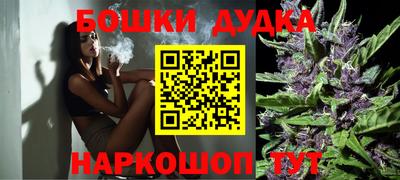 ПСИЛОЦИБИНОВЫЕ ГРИБЫ Новозыбков