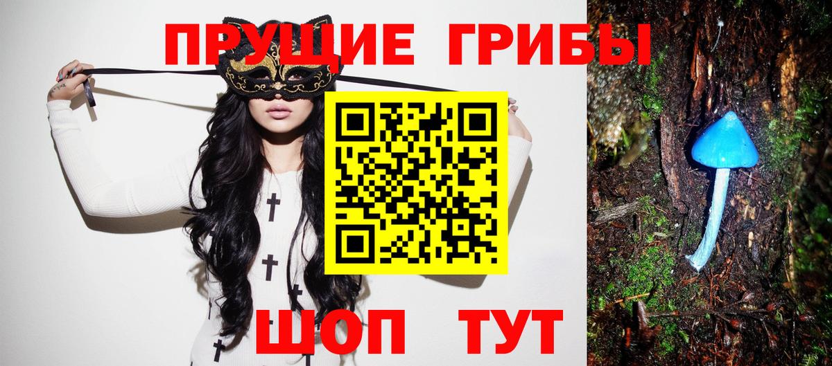 Псилоцибиновые грибы Psilocybine cubensis  Вход с VPN  Тамбов 